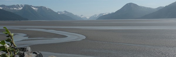 Into the wild (ou presque)