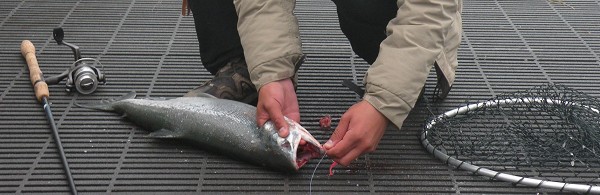 La pêche miraculeuse