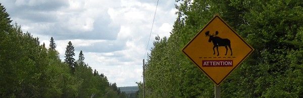 Je me souviens...